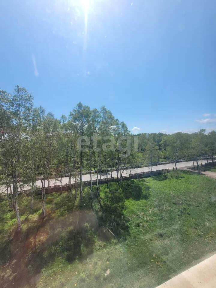 квартира р-н Советско-Гаванский рп Заветы Ильича ул Невельского 25 фото 15