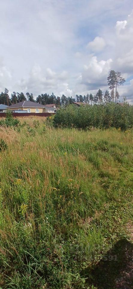 земля г Лосино-Петровский д Мизиново рп Свердловский Орловский, улица Гагарина, 59 фото 4