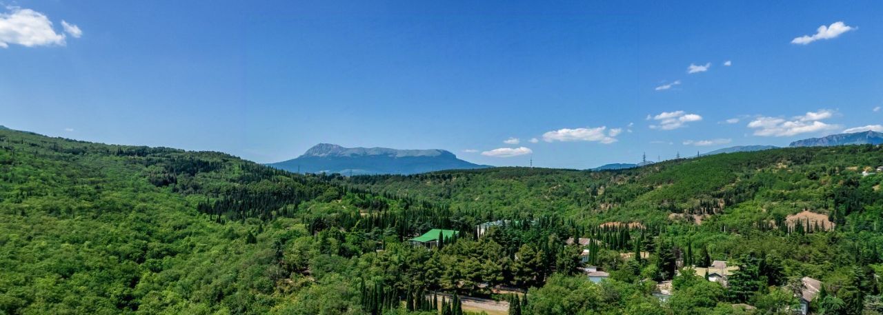 квартира г Алушта с Виноградное ул Сусловой 3 фото 3