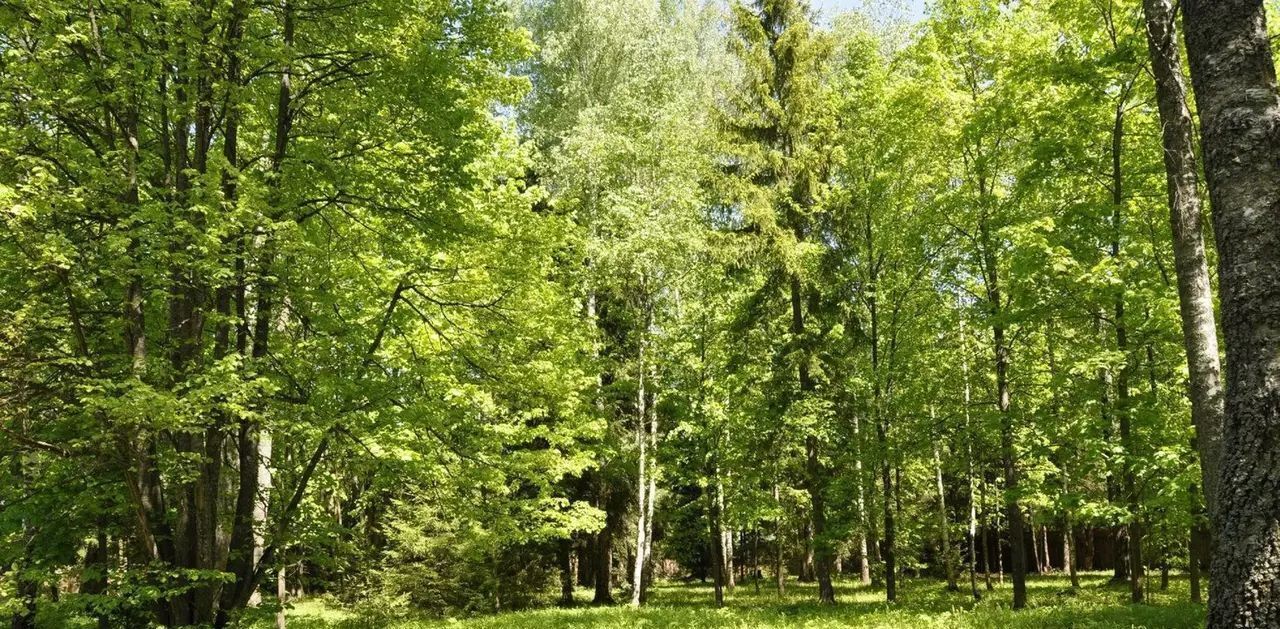 земля городской округ Одинцовский п Горки-2 лощина ДСК, Одинцово, Зеленая фото 1