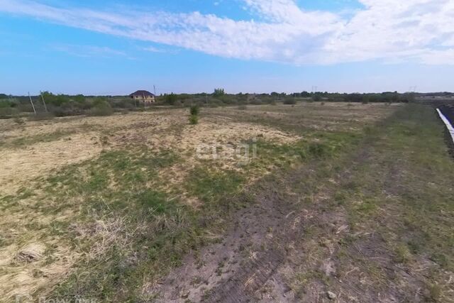 городской округ Тюмень, садовое общество Родничок фото