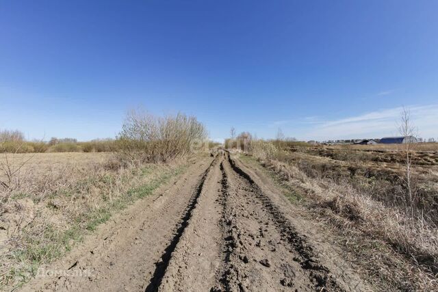 село Ембаево фото