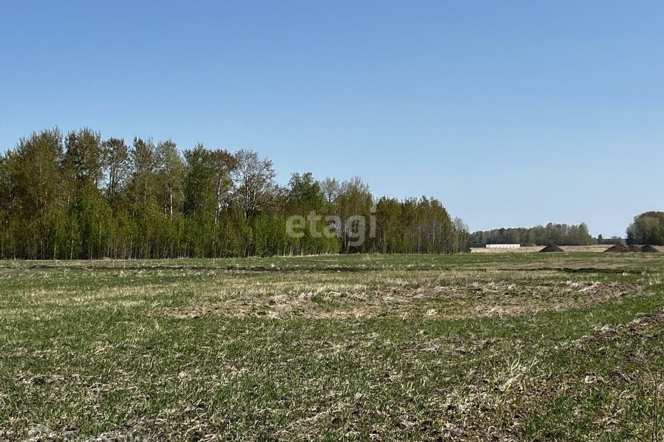 земля р-н Тюменский коттеджный посёлок Новокаменский фото 1