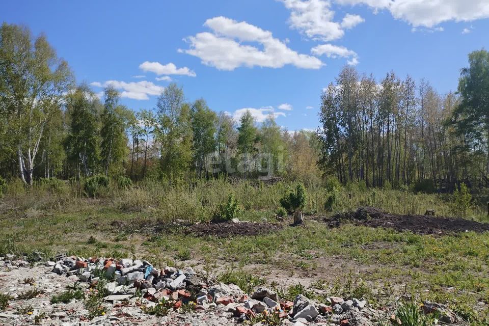 земля г Тюмень городской округ Тюмень, ДНП Звенящие Кедры Тюмени фото 1