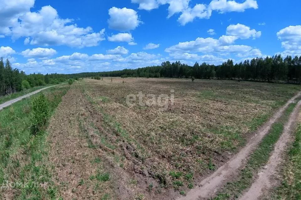 земля р-н Тюменский д Чаплык ул Зеленая фото 4