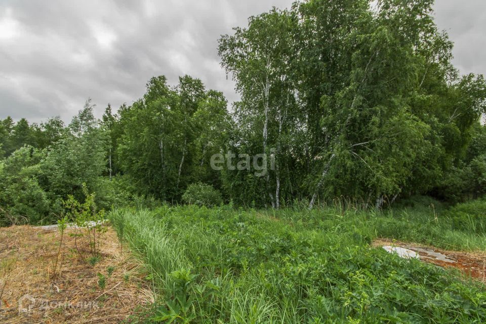 земля р-н Нижнетавдинский садоводческое некоммерческое товарищество Разбахта фото 3