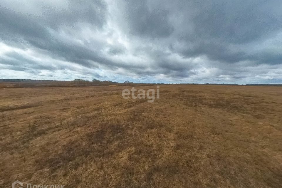 земля р-н Тюменский село Салаирка фото 4