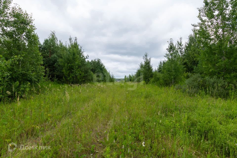 земля р-н Нижнетавдинский снт Геолог-2 Озеро Сундукуль фото 9