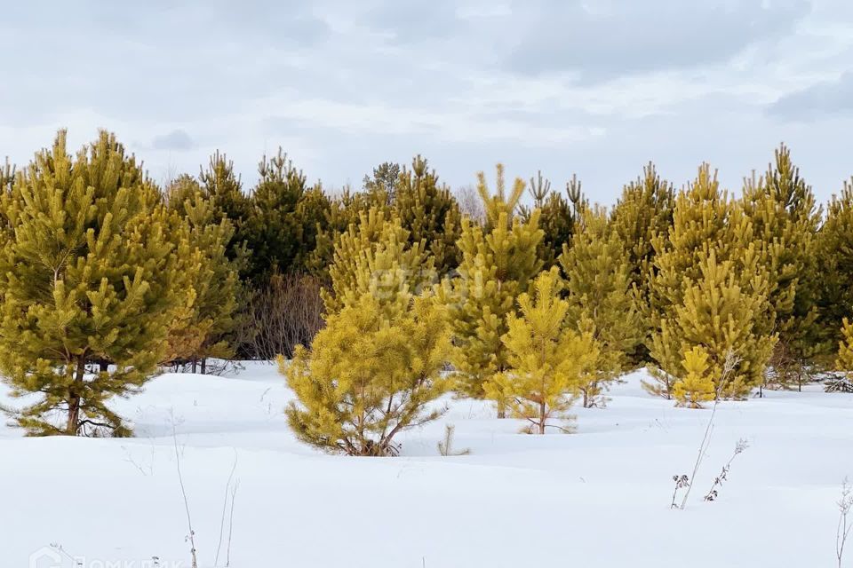 земля р-н Уватский село Красный Яр фото 7