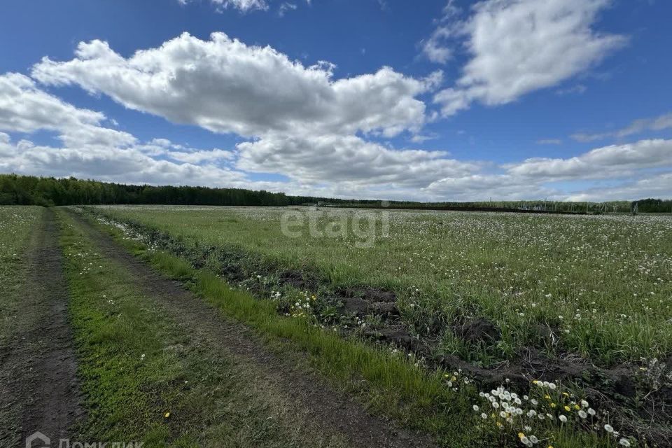 земля р-н Тюменский с Кулига коттеджный посёлок Заповедный фото 5