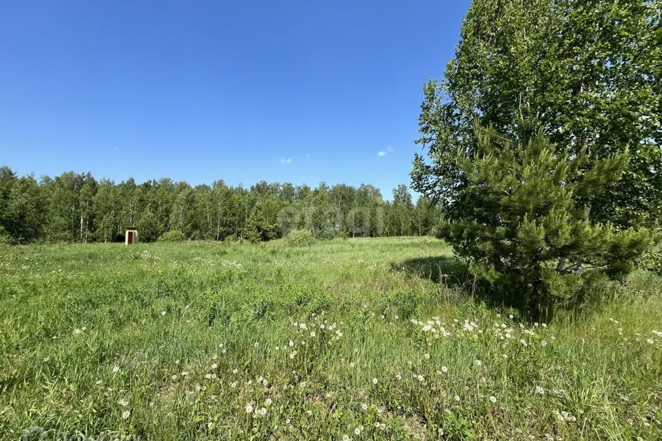 земля г Тюмень снт Светлячок городской округ Тюмень, 2-я улица фото 6