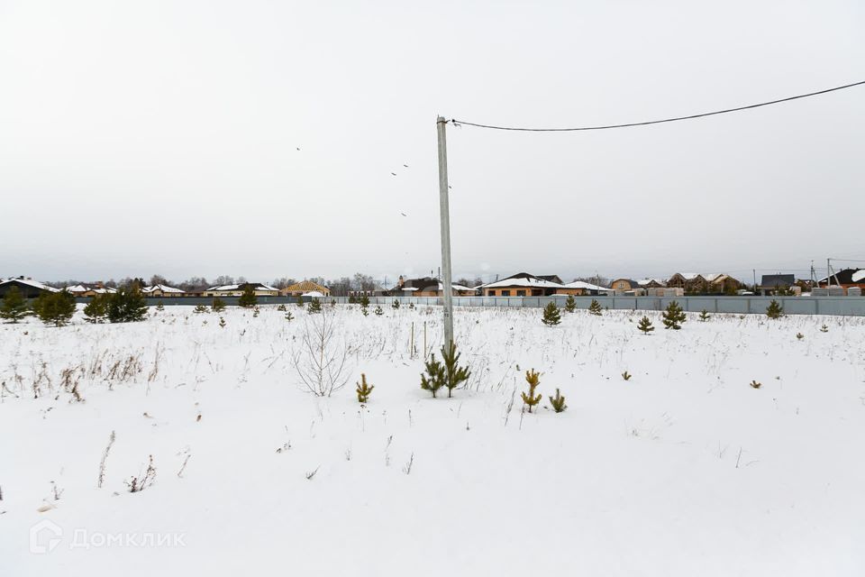 земля р-н Тюменский село Луговое фото 6