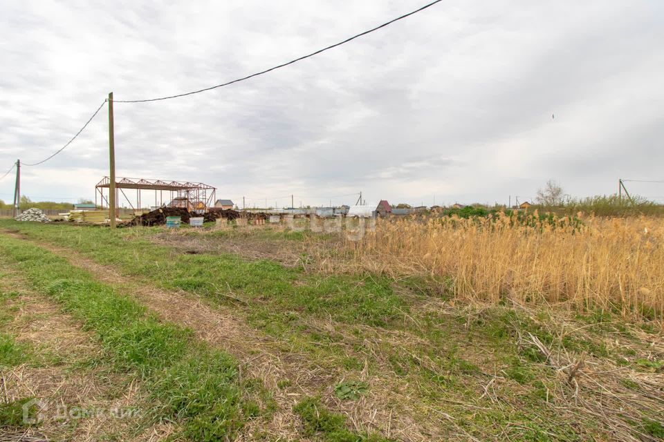 земля г Тюмень городской округ Тюмень, садоводческое некоммерческое товарищество Большое Царёво-2 фото 7