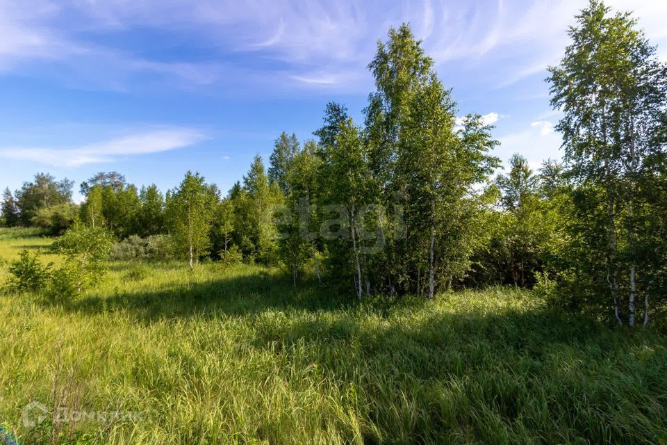 земля г Тюмень городской округ Тюмень, микрорайон Березняковский фото 8