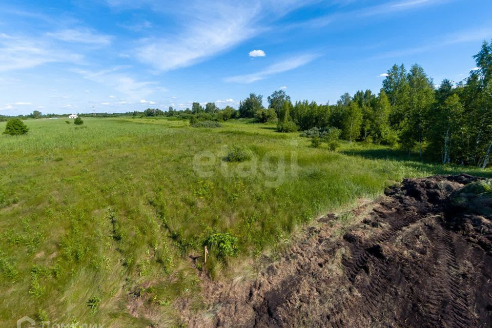 земля г Тюмень городской округ Тюмень, микрорайон Березняковский фото 9