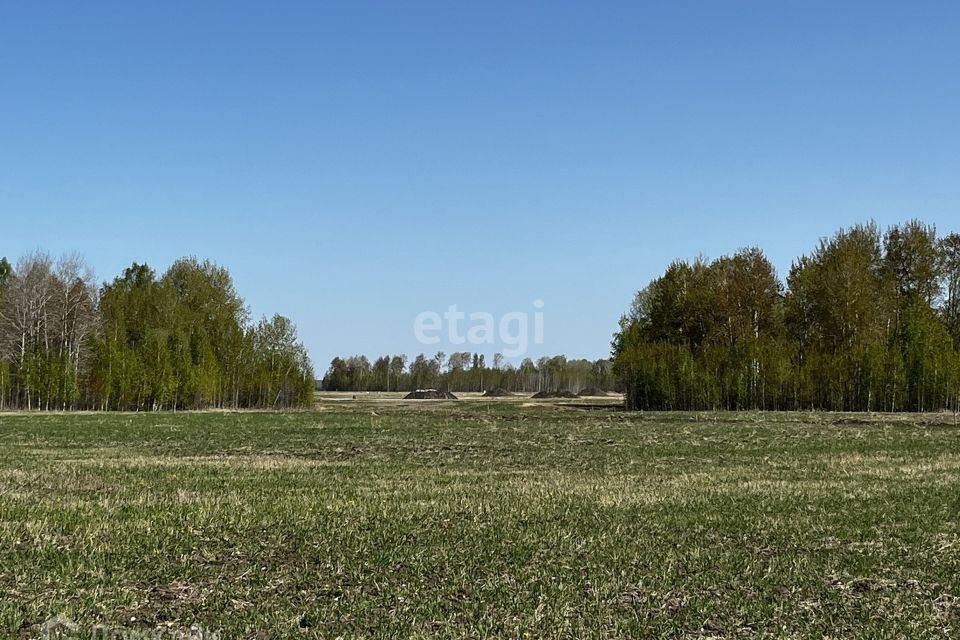 земля р-н Тюменский коттеджный посёлок Новокаменский фото 10