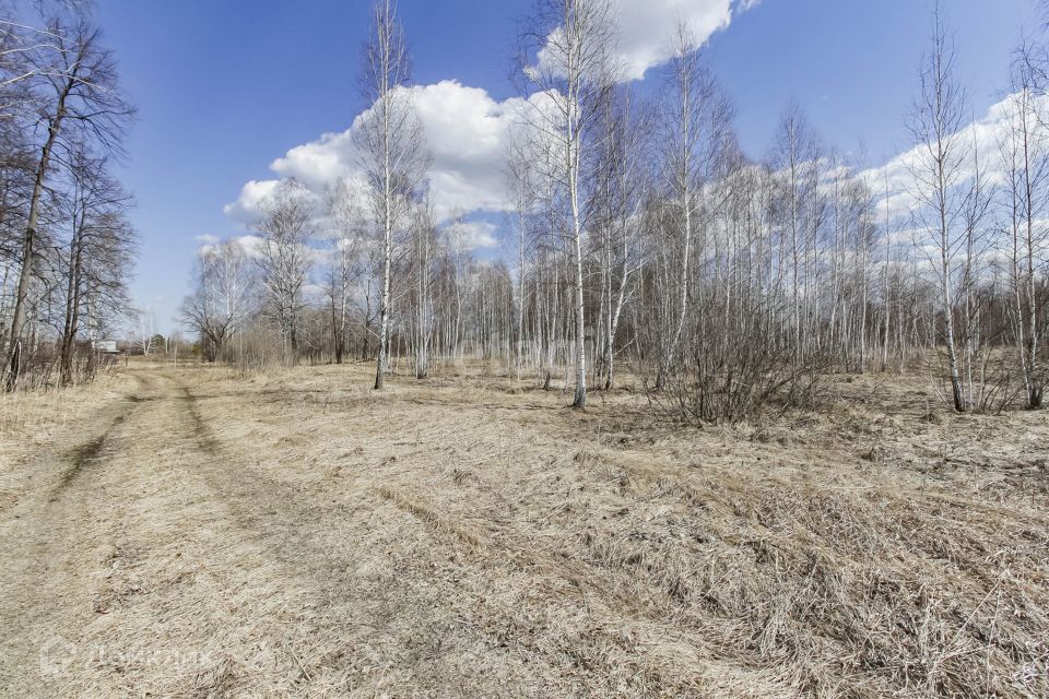 земля г Тюмень городской округ Тюмень, садовое товарищество Золотая Осень-2 фото 5