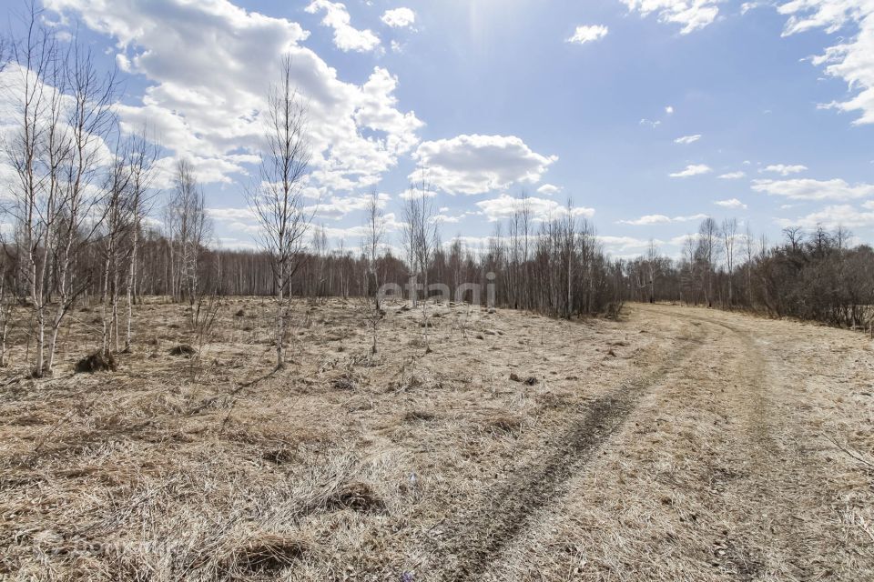 земля г Тюмень городской округ Тюмень, садовое товарищество Золотая Осень-2 фото 6