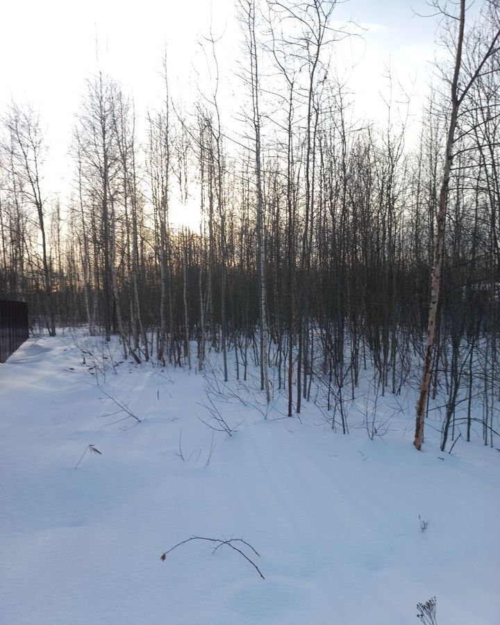 земля городской округ Богородский г Ногинск снт Ветеран Воровского фото 15