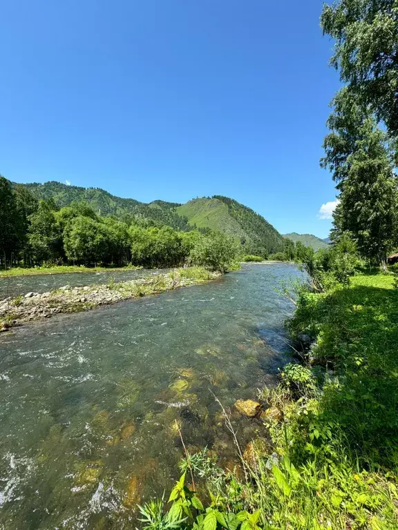 дом р-н Чемальский с Уожан дорога, 10-й километр, 1, Чемал фото 15