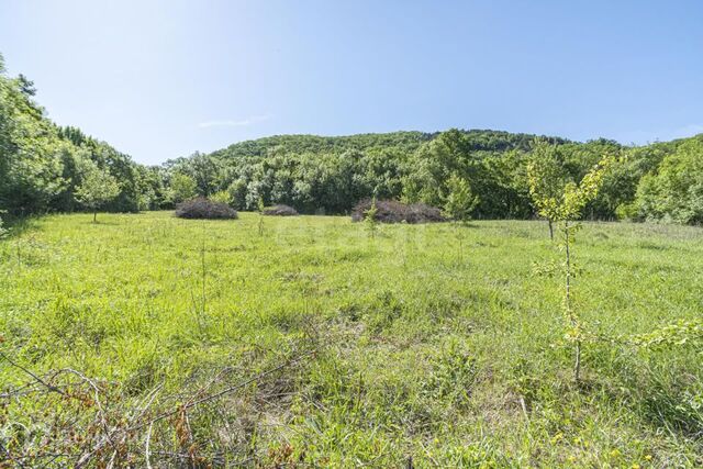 Балаклавский район, Балаклавский муниципальный округ фото