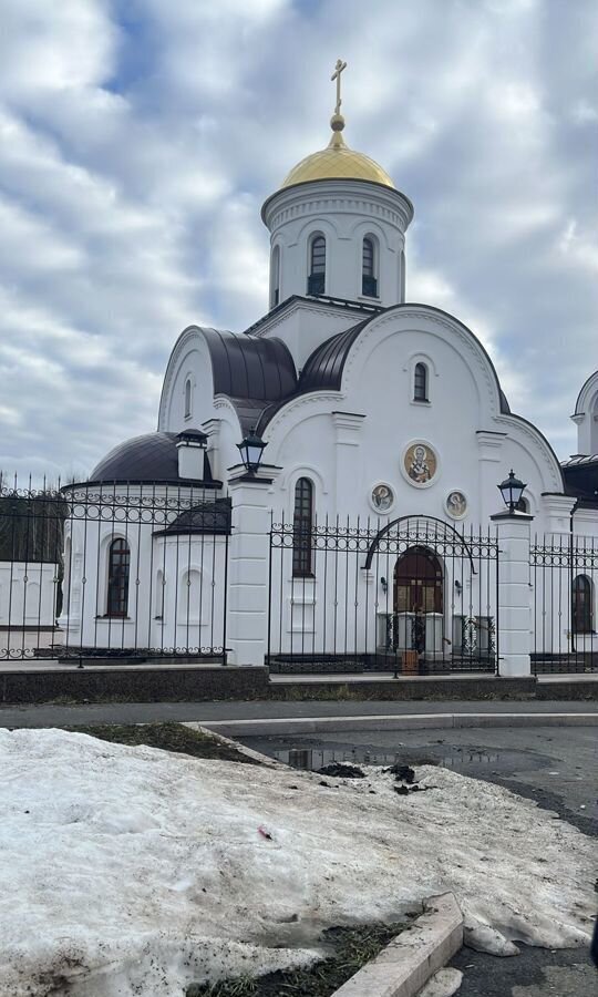 земля р-н Сосновский п Томинский ул Ягодная Томинское сельское поселение, Полетаево фото 2