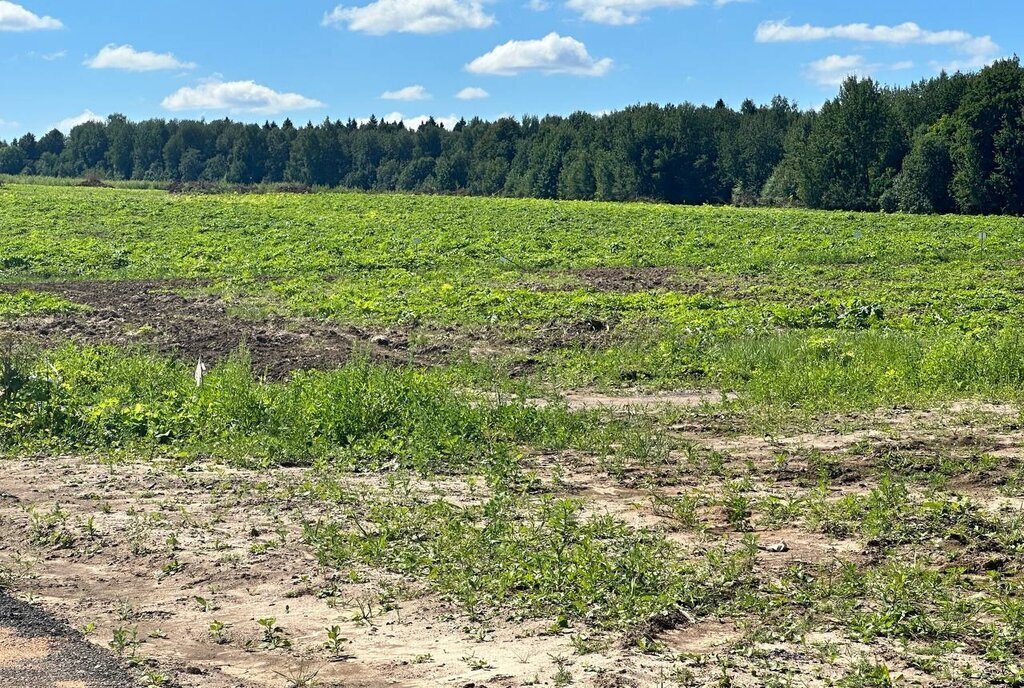 земля городской округ Дмитровский коттеджный поселок «Сорочаны» городской округ Клин фото 12