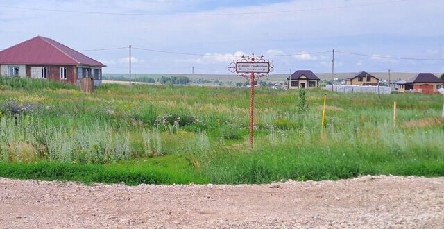 земля ул Дамира Гарифуллина Сармановское сельское поселение фото