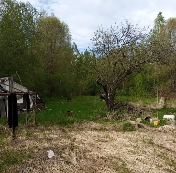 земля городской округ Клин д Бирево снт Рассвет 176 фото 3