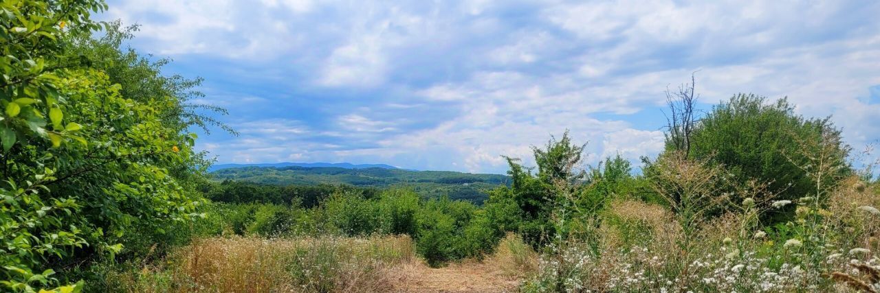 земля р-н Северский пгт Ильский ул Лесная Ильское городское поселение фото 16