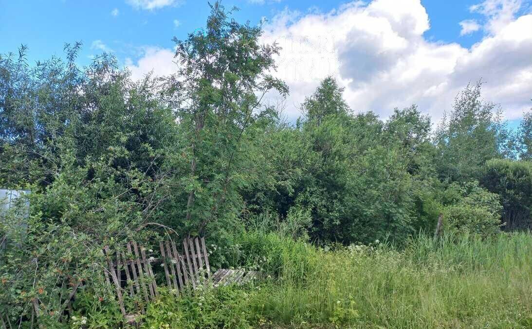 земля городской округ Талдомский п Вербилки садовое товарищество ТМЗ, Персиковая ул фото 4