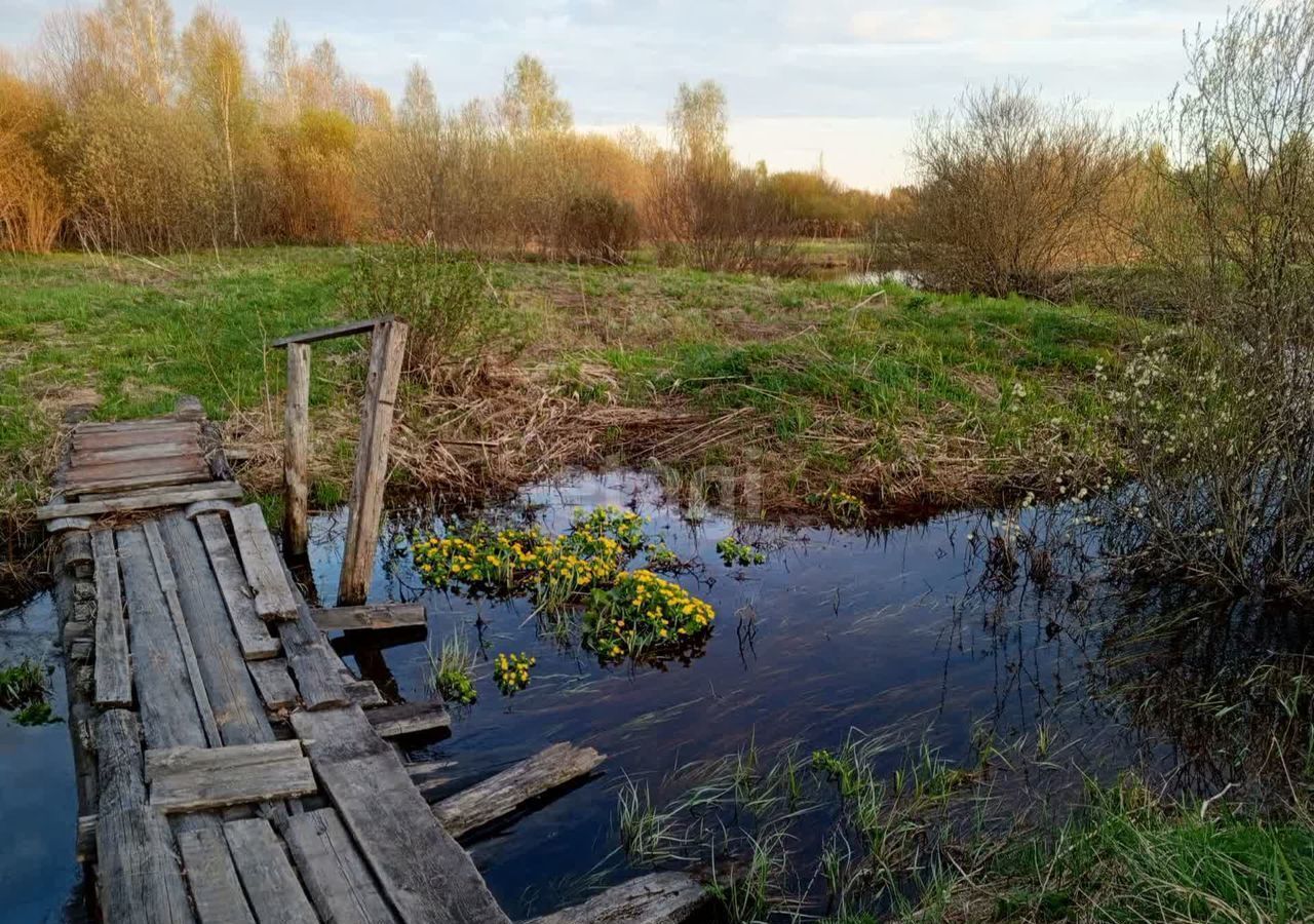 земля р-н Костромской д Морковкино Никольское сельское поселение, Никольское фото 6