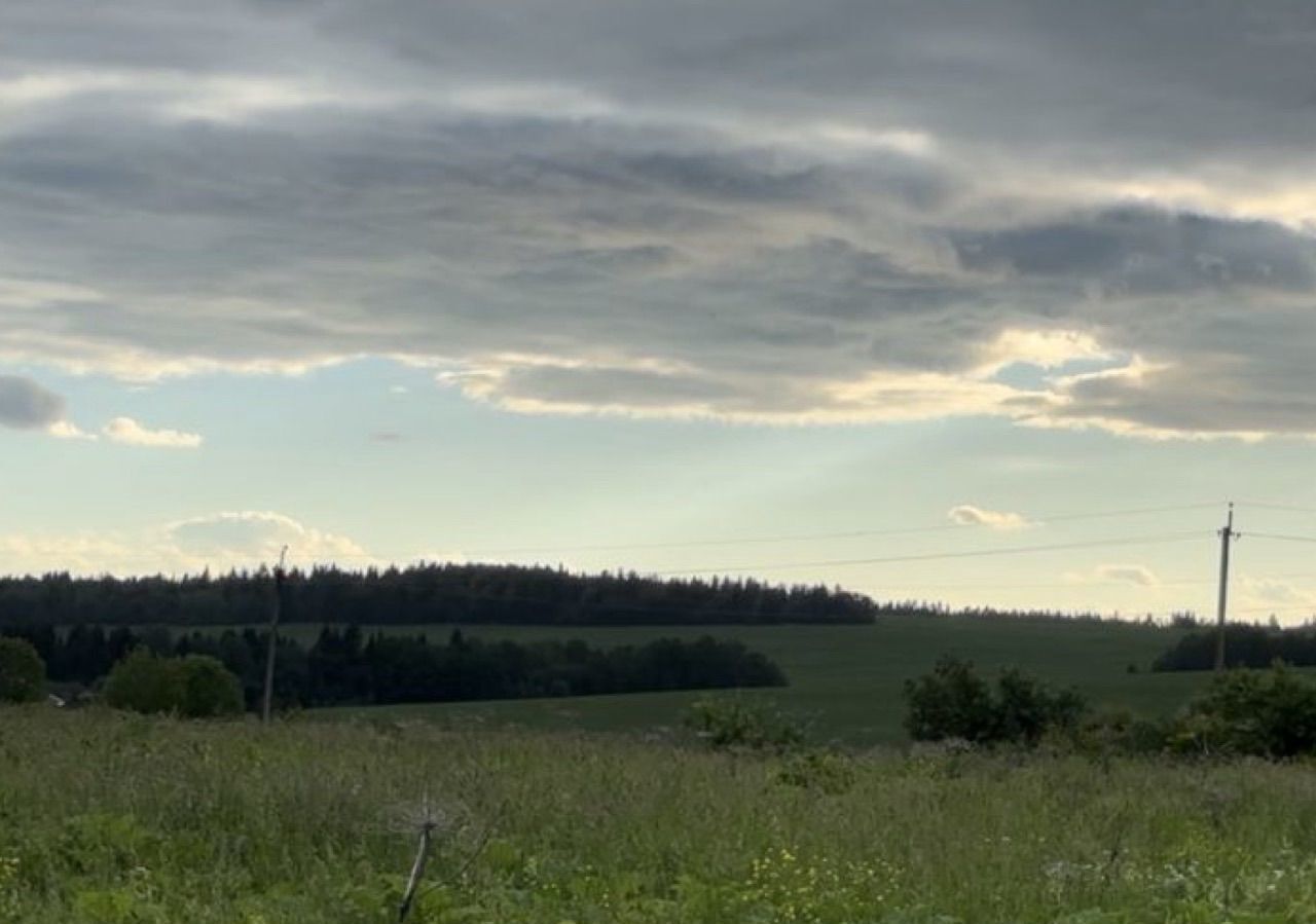 земля р-н Пермский с Башкултаево ул Чернушинская Култаево фото 3