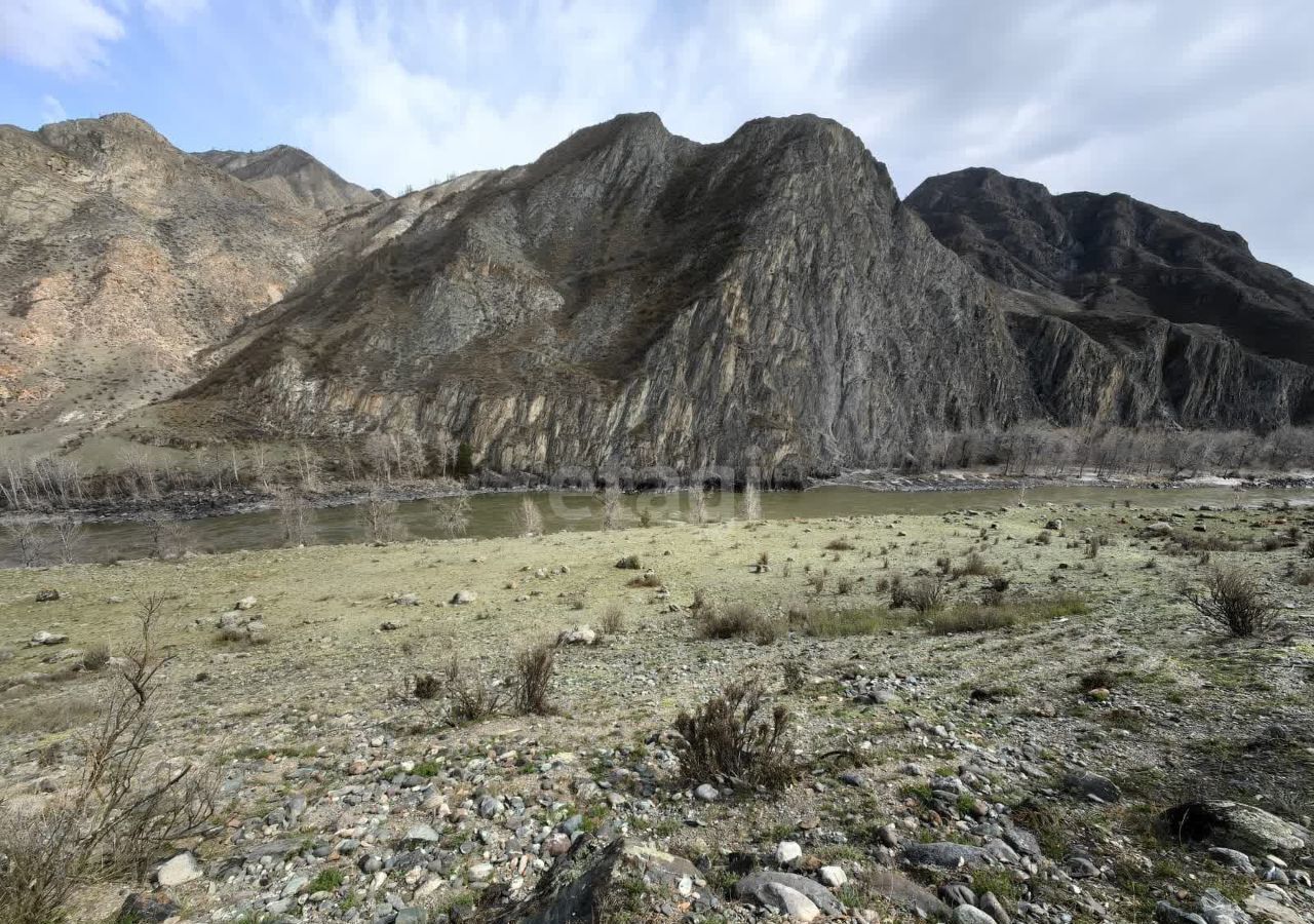 земля р-н Онгудайский с Иня Онгудай фото 2