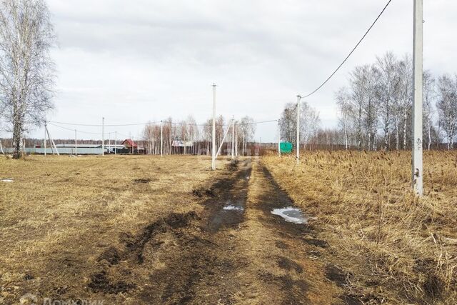 городской округ Тюмень, СО Зелёный бор фото