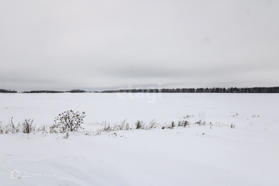 земля р-н Ленинский село Каменское фото 1