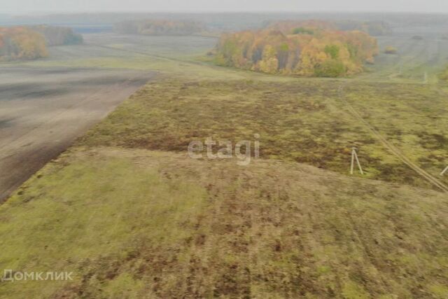 село Горьковка фото