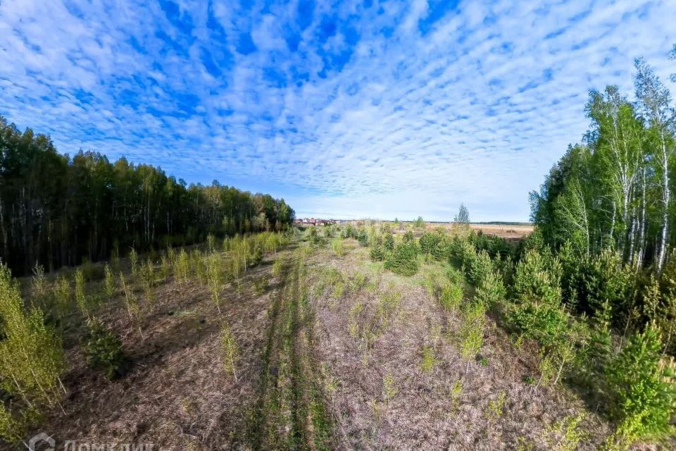 земля р-н Тюменский с Перевалово Коттеджный посёлок Зубарево Hills фото 4