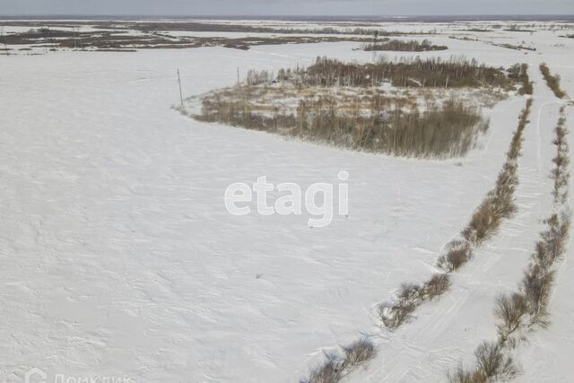 городской округ Тюмень, Садоводческое общество Яровское фото