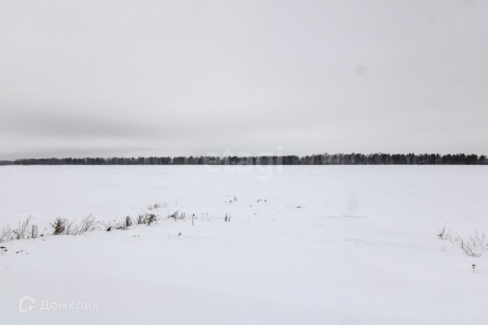 земля р-н Ленинский село Каменское фото 4