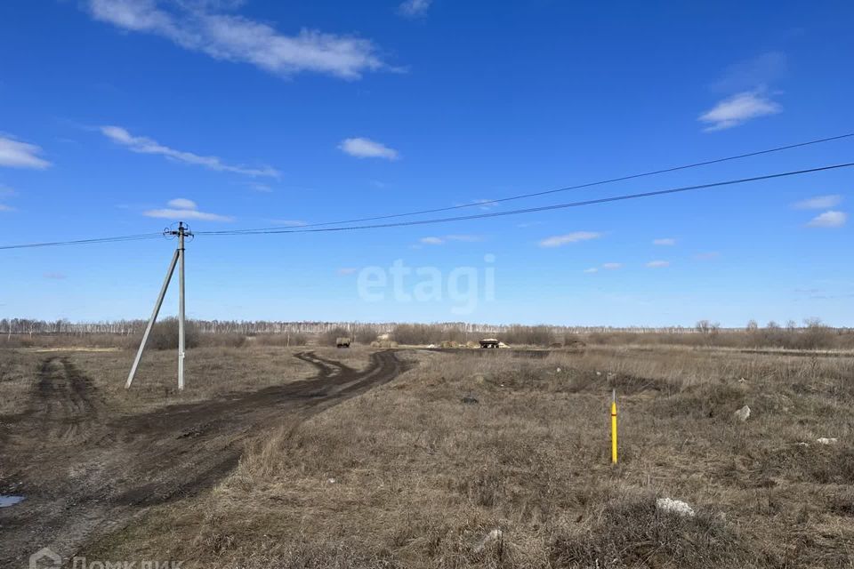 земля р-н Тюменский деревня Нариманова фото 2