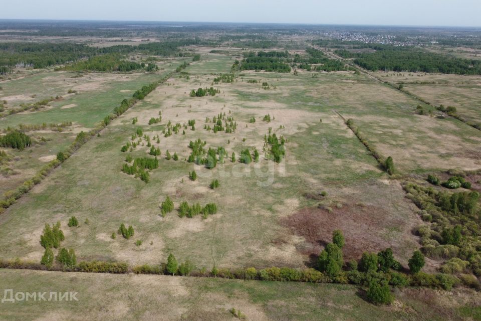 земля г Тюмень городской округ Тюмень, садовое товарищество Лаванда фото 4