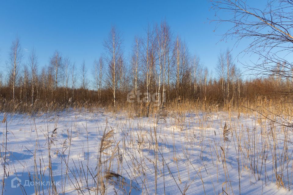 земля г Тюмень городской округ Тюмень, СНТ Березняки фото 7