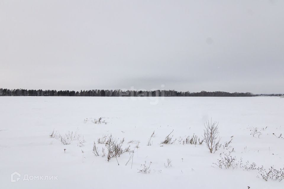 земля р-н Ленинский село Каменское фото 8