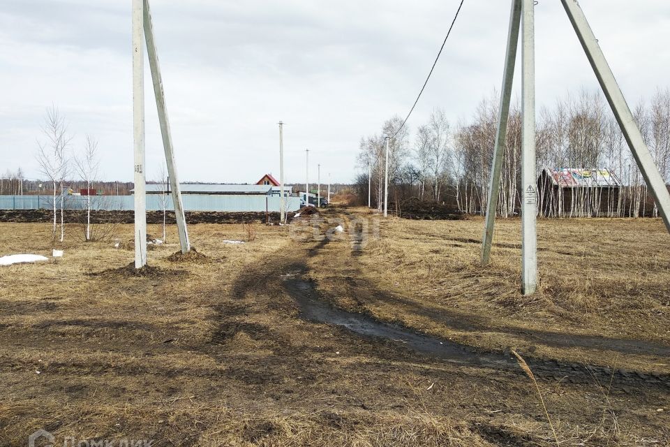 земля г Тюмень городской округ Тюмень, СО Зелёный бор фото 7