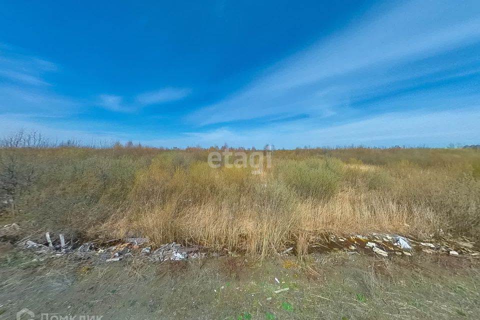 земля г Тюмень снт Матрешка городской округ Тюмень, Елисеевская улица фото 7