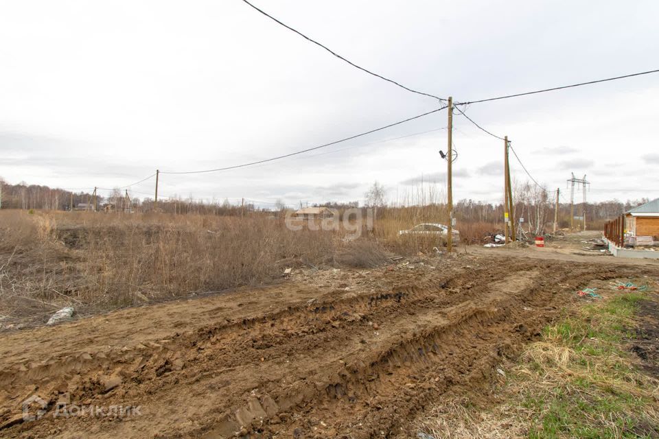 земля г Тюмень ул Туринская городской округ Тюмень фото 6