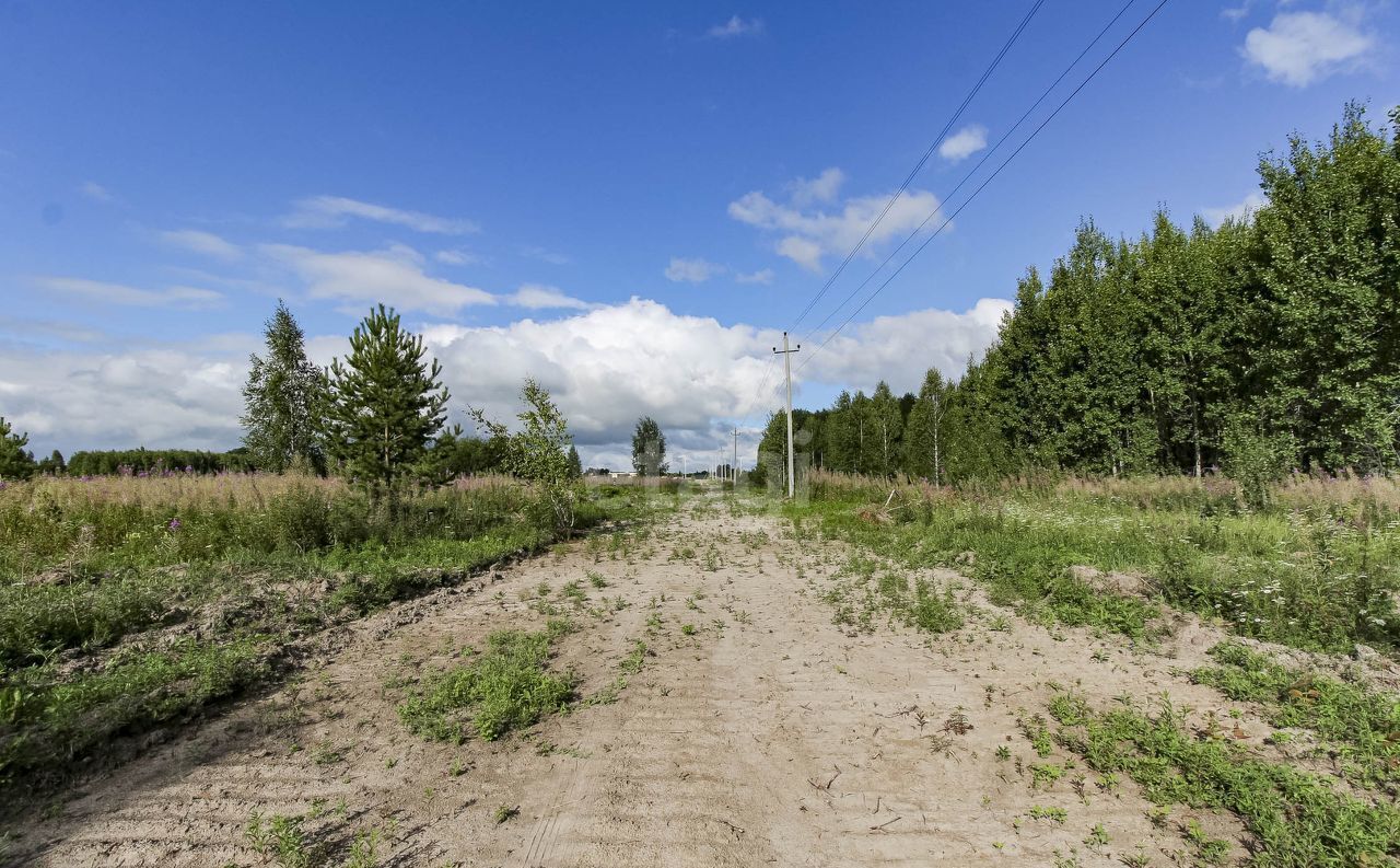 земля р-н Нижнетавдинский п Торгили Каскара фото 6