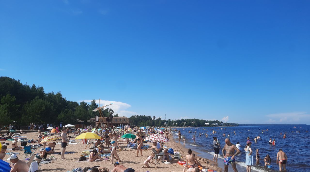 земля р-н Всеволожский Рахьинское городское поселение, пос. При железнодорожной станции Ладожское Озеро, ул. Озерная фото 7