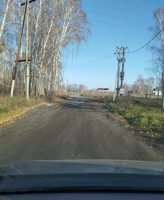 земля р-н Новосибирский с Боровое ул Рабочая 18 Боровской сельсовет, Верх-Тула фото 1